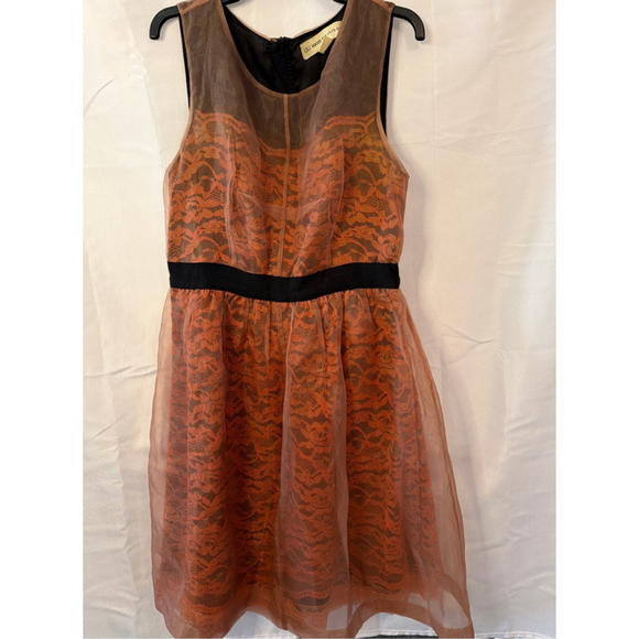 Lili Wang for Lili's Closet Dresses & Skirts - Lili Wang for Lili's Closet Organza Lace Dress Evening Cocktail Party Sz 10